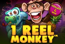 I REEL MONKEY