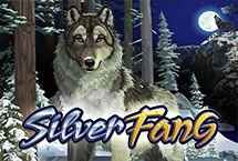 SILVER FANG