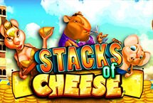 STACKS OF CHEESE