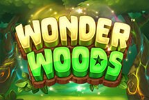 WONDER WOODS