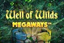 WELL OF WILDS MEGAWAYS