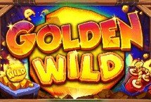 GOLDEN WILD