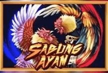 SABUNG AYAM